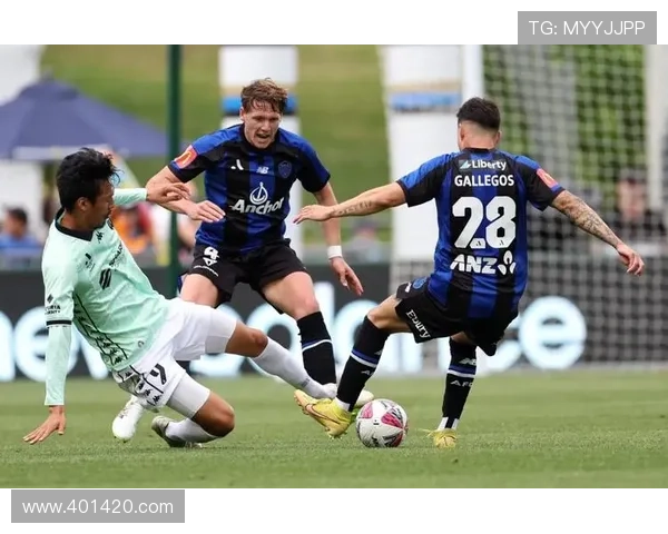 阿德莱德联战平奥克兰FC 阿拉吉奇破门加列戈斯扳平 阿德莱德联战平奥克兰FC 阿拉吉奇破门加列戈斯扳平